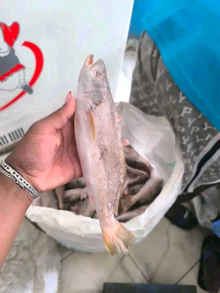 poissonnerie f-plus