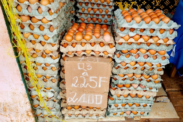 Sorelle dépôt d'oeuf