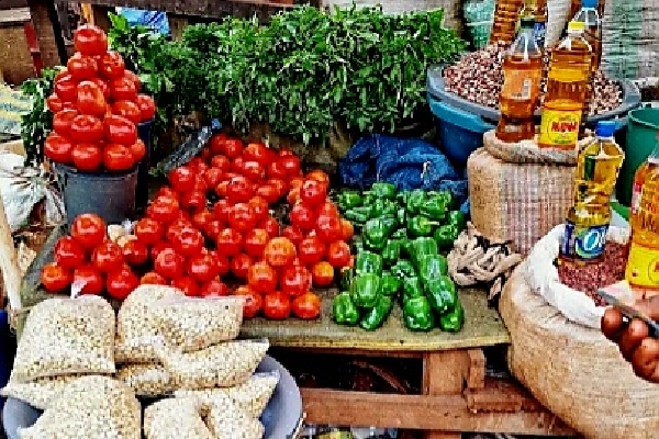 Vanessa alimentation