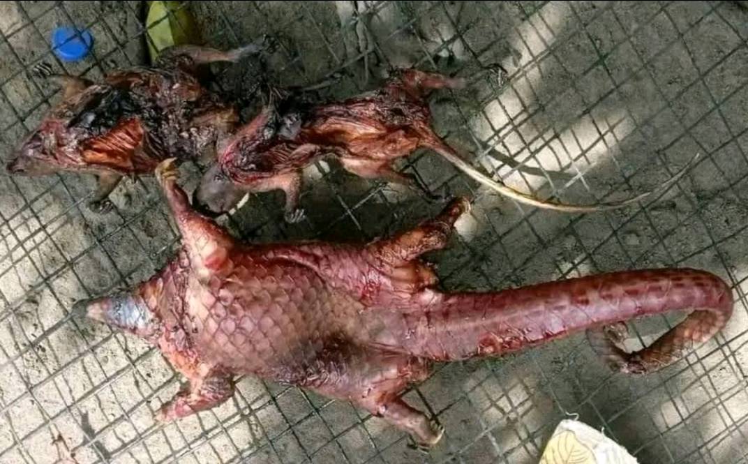 Restaurant-bar NDA BIDI