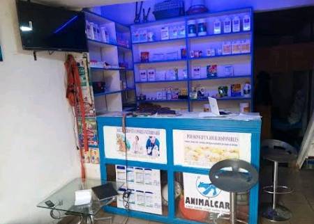 cabinet vétérinaire animal care