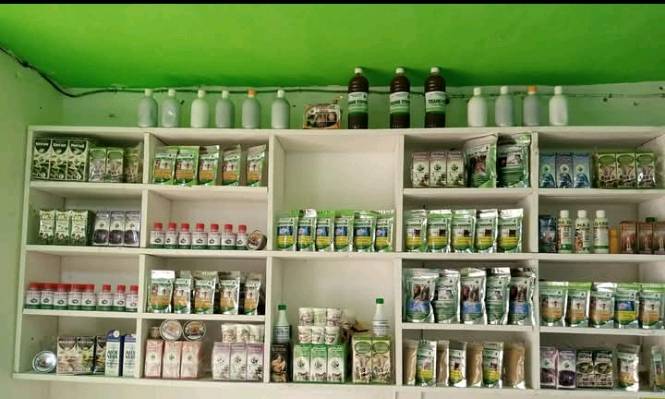 maillot vert international