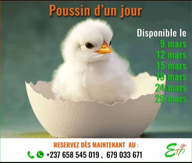 SCOOPS ETP ACCOUVOIR