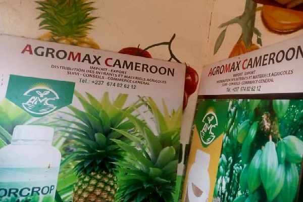 agromax cameroon